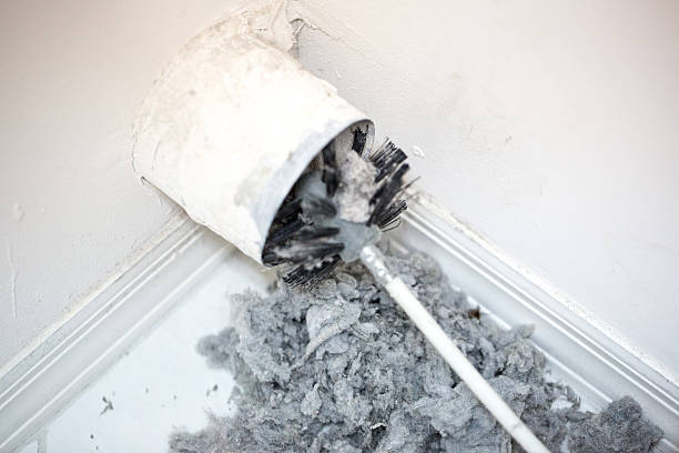 Best Duct Cleaning for Homes  in Alpharetta, GA